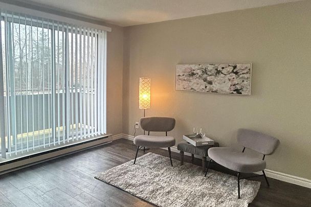 Tillson Apts 4 - ALL INCLUSIVE - Photo 1