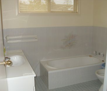 A World Away - Photo 3