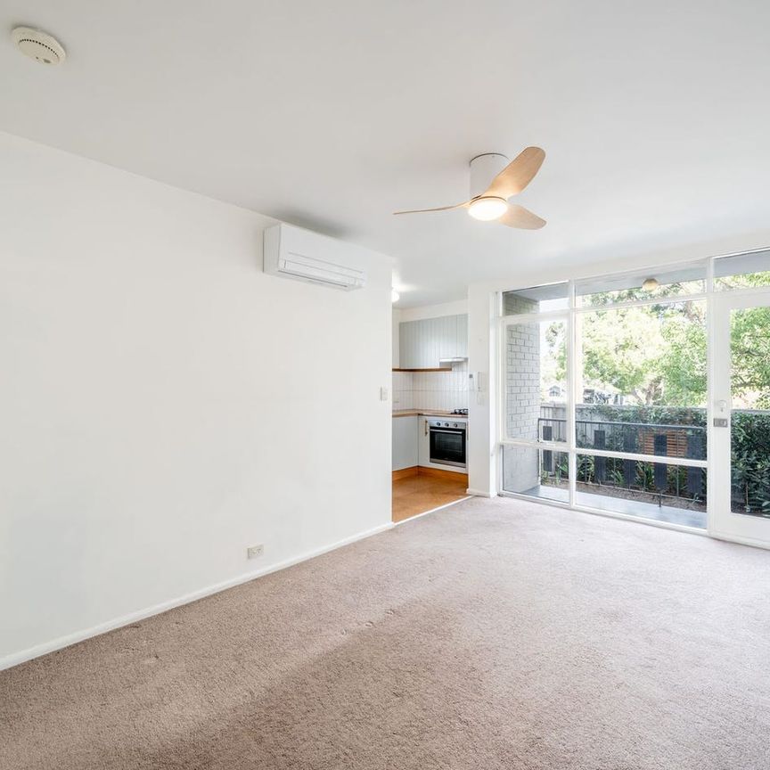 Gorgeous Ground Floor Apartment with Private Courtyard - Photo 1