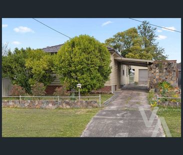 47 Groongal Street, Mayfield West, NSW 2304 - Photo 4