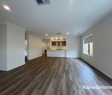 Brand New Property with Solar Power - Photo 4