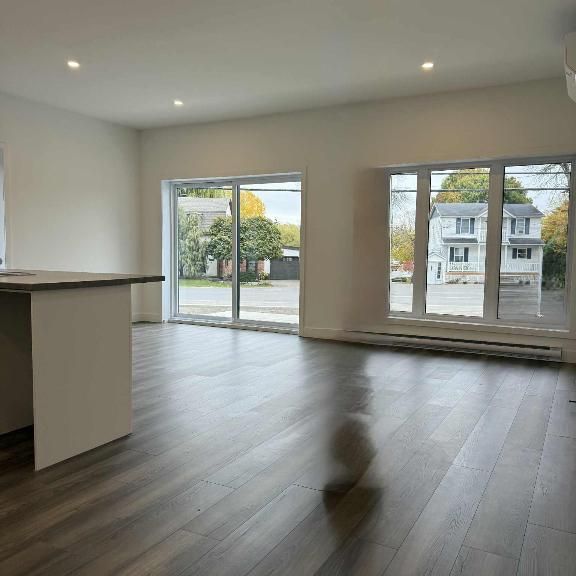 Logements neufs Coteau du lac - Photo 1