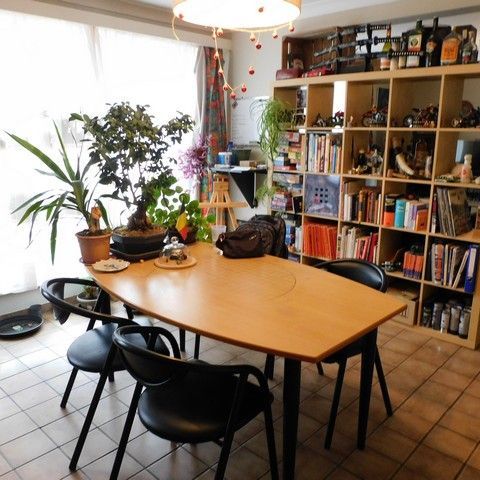 Gelijkvloers appartement met garage - Foto 1