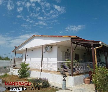 Μονοκατοικία για ενοικίαση Κέντρο (Μηχανιώνα) - Photo 6