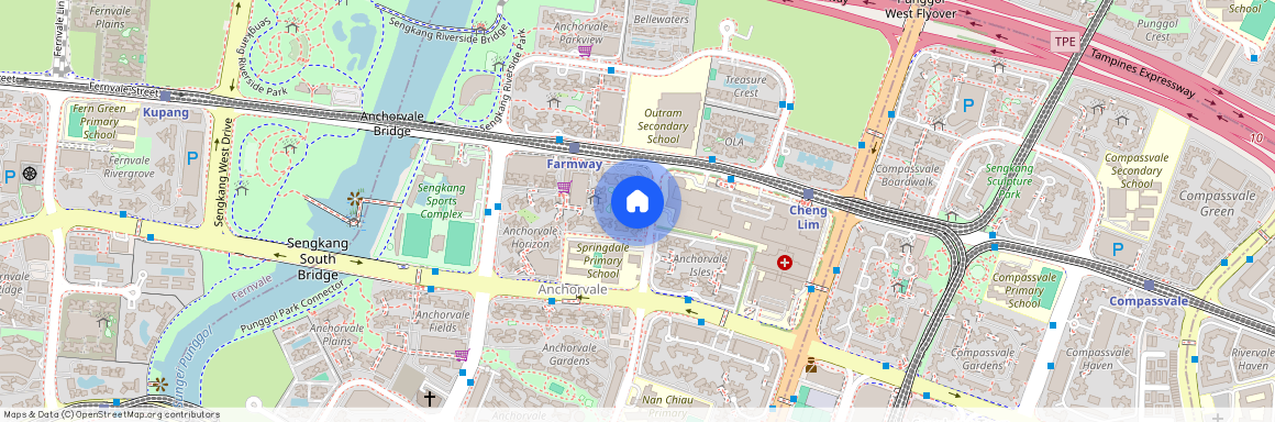 331A Anchorvale Street (541331), Singapore