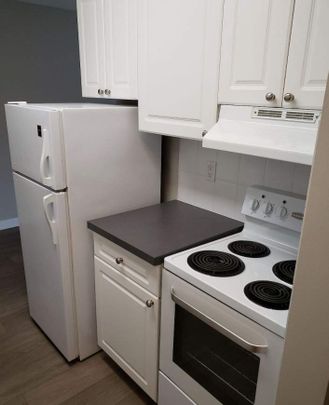 Renovated Suite - 2 Bedroom - Photo 1