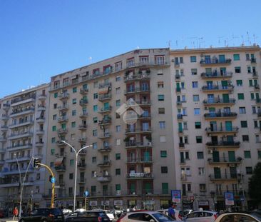 Trilocale in affitto - Photo 1