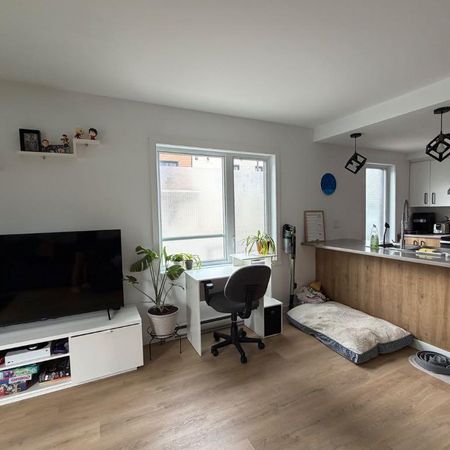 Chiens acceptés - Photo 3