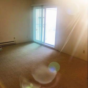 1 BEDROOM BEAUTIFUL APARTMENT FOR RENT MOUNT PLEASANT - Photo 4