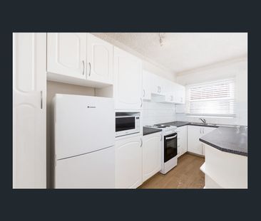 Central Location - Photo 3