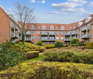 Filosofhaven 5, 3. tv. - Foto 3