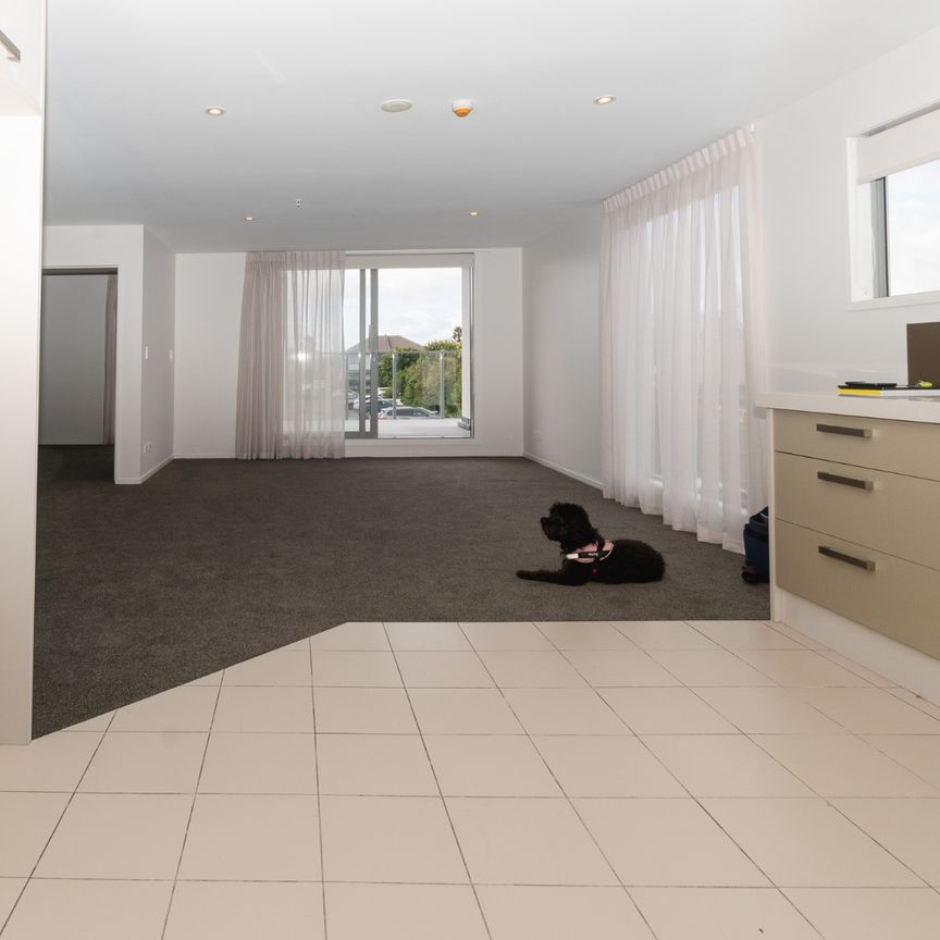 Fabulous and Sunny Apartment including carpark - Photo 1