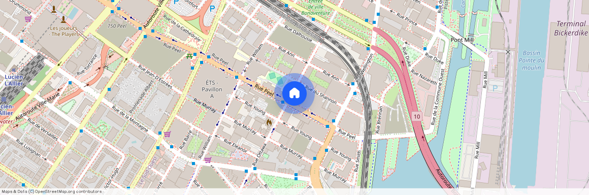 235, Rue Peel, app. 412, Montréal (Le Sud-Ouest)