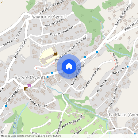 Rue de Botyre 40 1966 Ayent