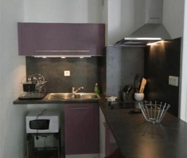 Location appartement 1 pièce - 38m² à Toulouse (31200) - Photo 4