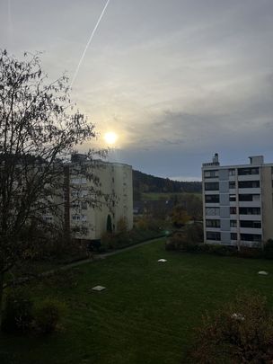 4-ROOM APARTMENT IN HINTERKAPPELEN (BE), FURNISHED, TEMPORARY - Photo 1