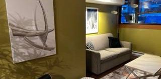 ►► FULLY FURNISHED Contemporary 1 BDRM Loft Style Apartment - Photo 2