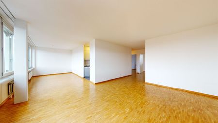 Enjoy the city life of Solothurn! - Photo 5