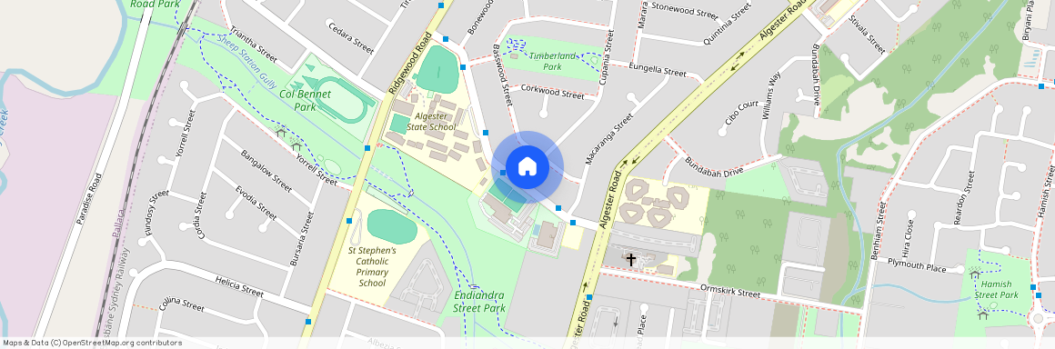 38 Endiandra Street, Qld 4115, Algester