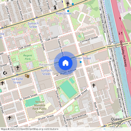 20 Tubman Ave, Toronto