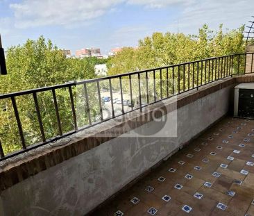 Sevilla - Foto 5