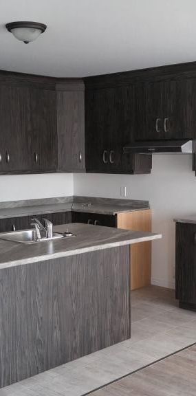 4 1/2 à louer - de style Condo- Rez-de Chaussez- Lyster (Dispo 1er août) - Photo 1