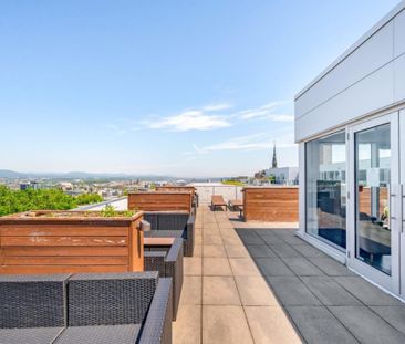 Appartement à louer - Québec (La Cité-Limoilou) (Saint-Jean-Baptiste) - Photo 6