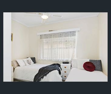 FAMILY FRIENDLY 3 BEDROOM HOUSE WITH BIG SHED. PETS NEGOTIABLE - Photo 5