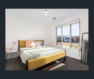 Don't Miss This Opportunity! - Photo 2