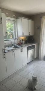 Grand 4 1/2 lumineux - 1500$! - Début juillet - Près de tout - Photo 4