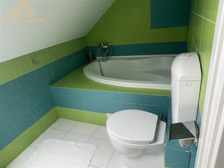 Casa Lux de inchiriat - Fotografie 2