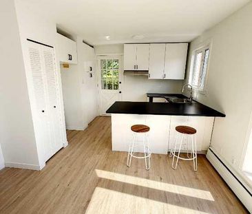 5 1/2 Vieux-Nord Hydro/électricité inclus / Duplex avec cour privée - Photo 1