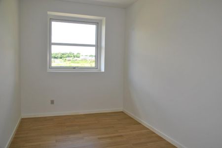 Skovlunden - Photo 4