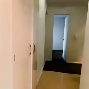 20 gadigal avenue Zetland, Sydney - Photo 3