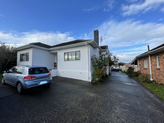 3 Bedroom character home in Mt Roskill - Photo 1