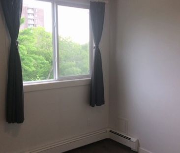 Top Floor 1 Bedroom Suite In Sunnyside – Unbeatable Location. - Photo 6