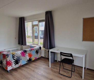 Te huur: Kamer Rembrandtlaan in Meppel - Photo 3