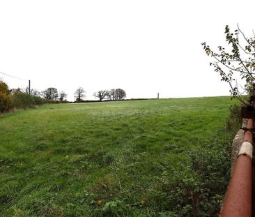 3 bedroom house to rent - Photo 2