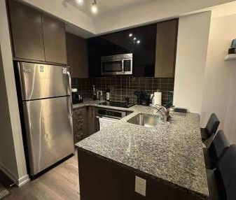 Furnished 1BR Open-Concept Spacious Madison Condo w Balcony - Photo 1