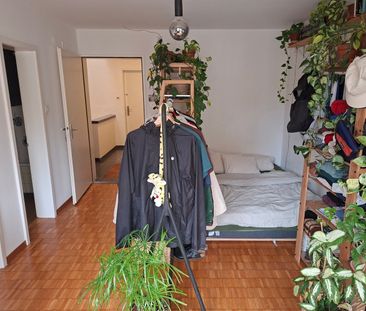 Rent a 1 room apartment in Zürich - Photo 6