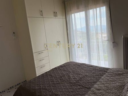 Μονοκατοικία για ενοικίαση Άνω Άμφεια (Θουρία) - Photo 4
