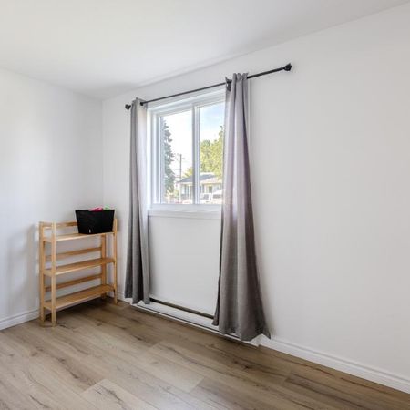 4 1/2 à Lévis - Tout inclus - Stationnement - Pour juillet - Photo 3