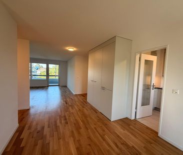 Neu sanierte 4.5 Zimmerwohnung in Rheinfelden - Foto 3