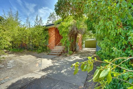 74 Launceston Street, Lyons - Photo 2