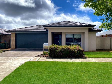 65 Willoby Drive, Alfredton - Photo 4