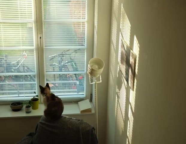 Seniorin sucht kleine Wohnung in Aachen - Foto 1