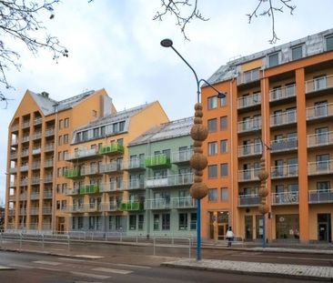 Bruno Liljeforsgatan 68, 754 29, Uppsala - Photo 5