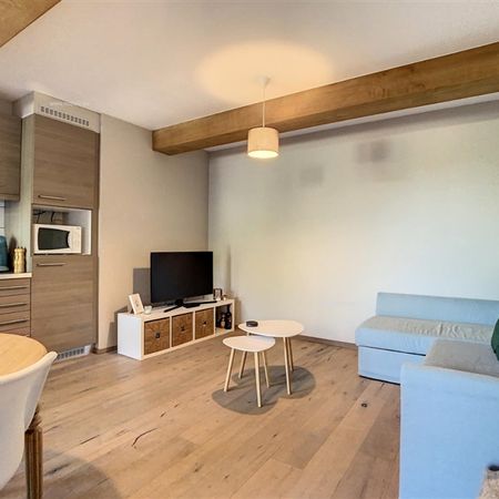 Te huur, instapklaar appartement op de top van het Kluisbos - Photo 3