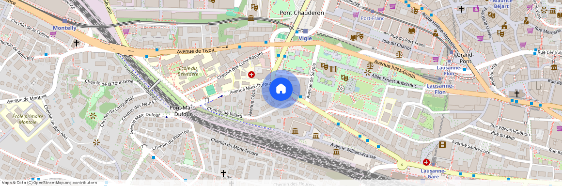 1003, Lausanne, Avenue Ruchonnet, 43