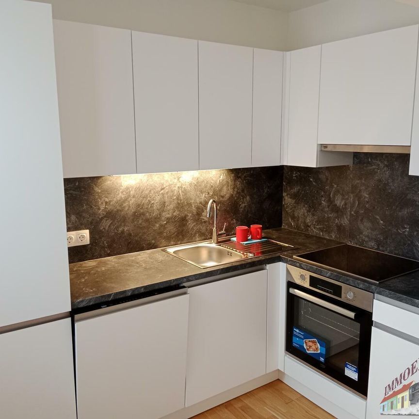 1210 Wien, Luxuswohnung mit 2 Terrassen, Fernblick, 2 Zimmer mit exklusivem Flair - Foto 1